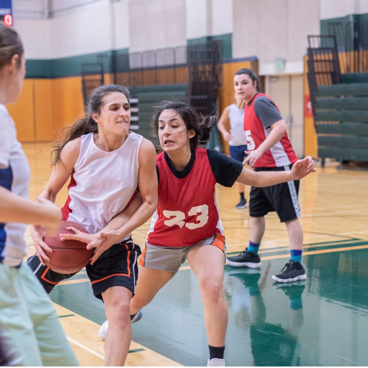 basketball printemps 2025 féminin pour adultes